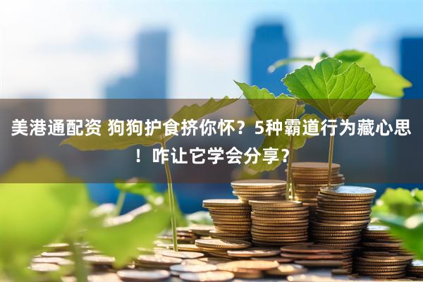 美港通配资 狗狗护食挤你怀？5种霸道行为藏心思！咋让它学会分享？