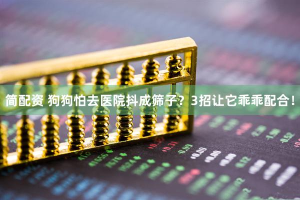 简配资 狗狗怕去医院抖成筛子？3招让它乖乖配合！