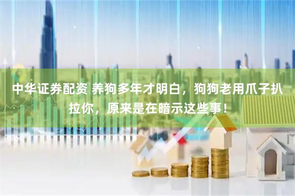 中华证券配资 养狗多年才明白，狗狗老用爪子扒拉你，原来是在暗示这些事！