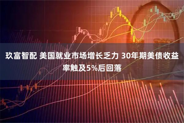 玖富智配 美国就业市场增长乏力 30年期美债收益率触及5%后回落